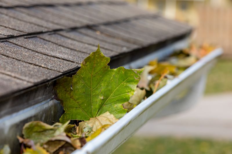 Gutter Cover System
