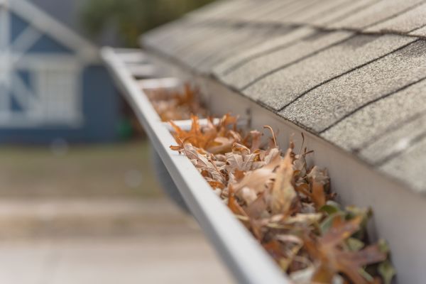 Leaf Barrier Installation in Jackson